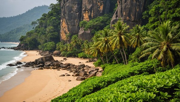 Quand visiter le sri lanka : guide des meilleures saisons